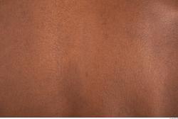 Photo Textures of Human Skin